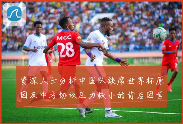 资深人士分析中国队缺席世界杯原因及中方协议压力较小的背后因素